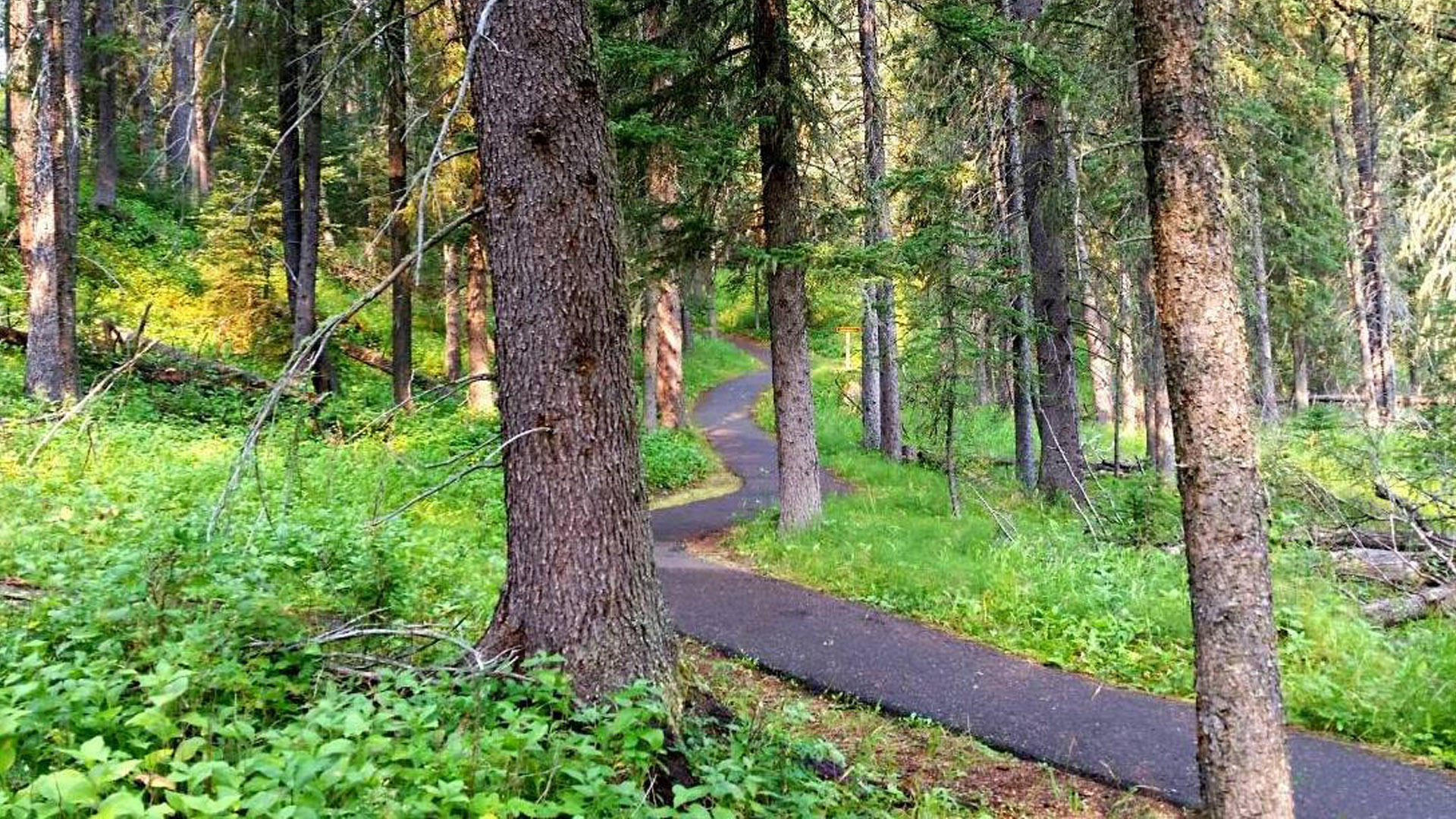 barrier-free-accessibility-saskparks