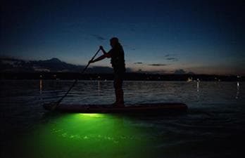 Back2Nature Wellness and Adventures