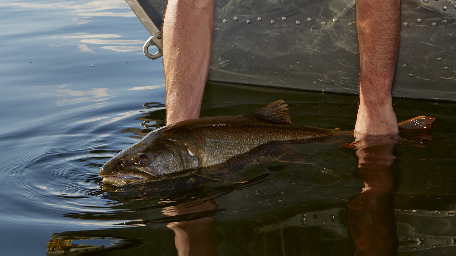 Fishing Tourism Saskatchewan