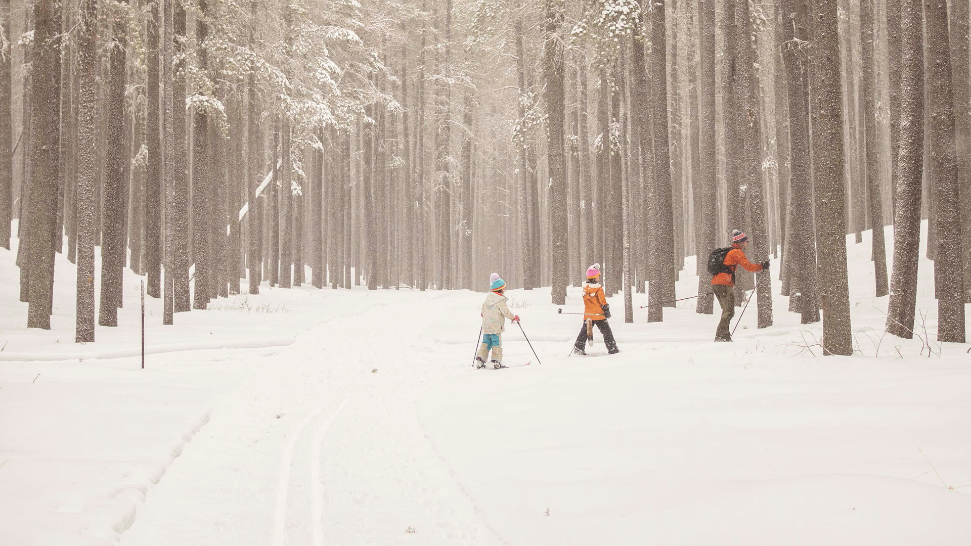 A Winter Camping Adventure in Cypress Hills « Cypress Hills