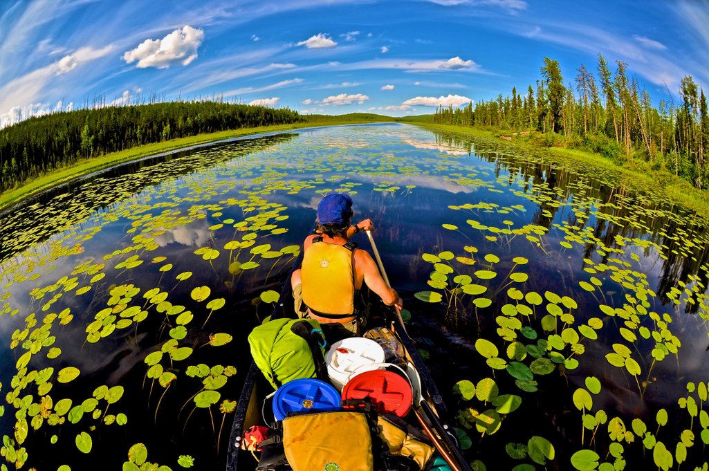 view behind a person in a canoe paddling down a calm river full of lily pads