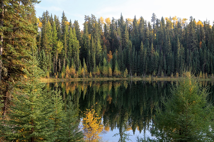 Fall fishing Gem Lakes Saskatchewan