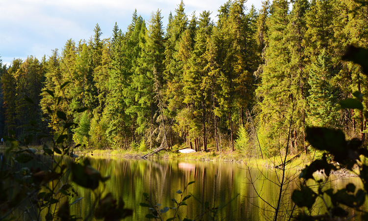 Gem Lake Reflection