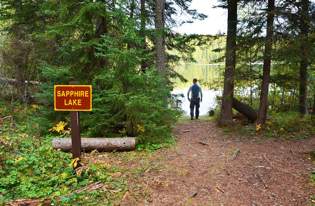 photo of a person standing on the shore of a lake between trees