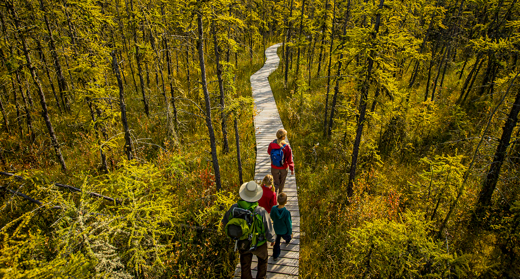 Five Trails in Prince Albert National Park