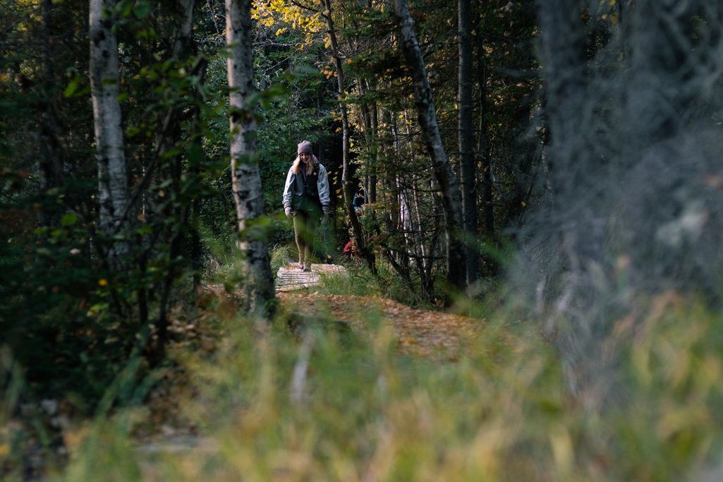 Person walking towards camera on Narrows Peninsula Trail in Prince Albert National Park during Autumn is leaves covering the ground