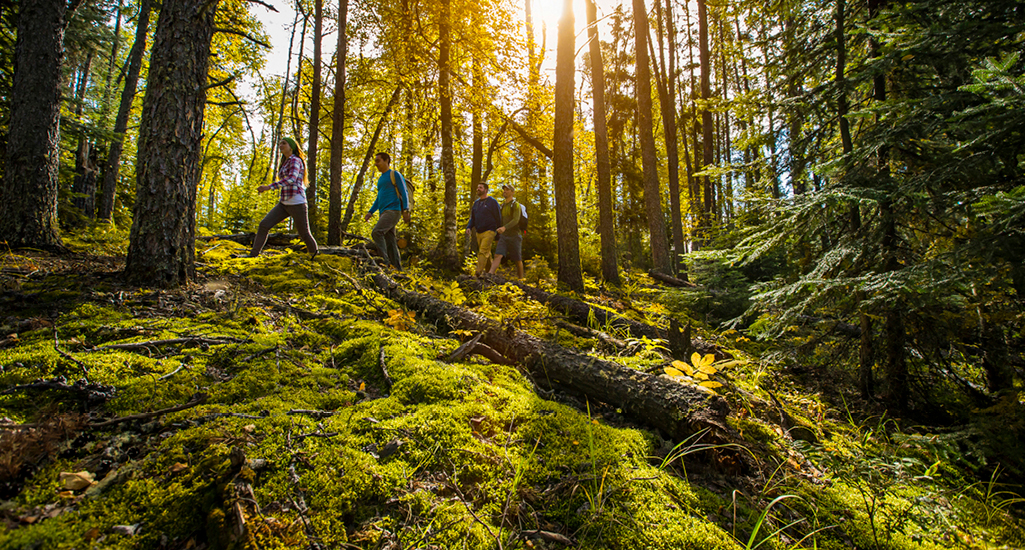 Five Trails in Prince Albert National Park