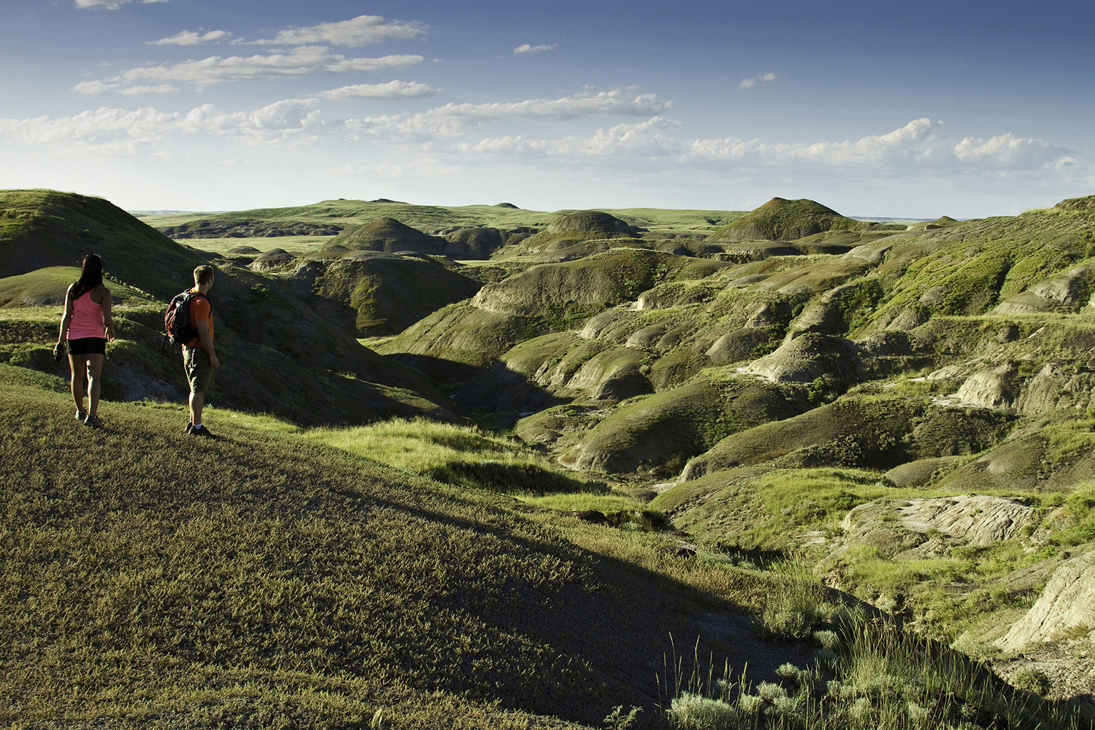 Grasslands national Park East Block