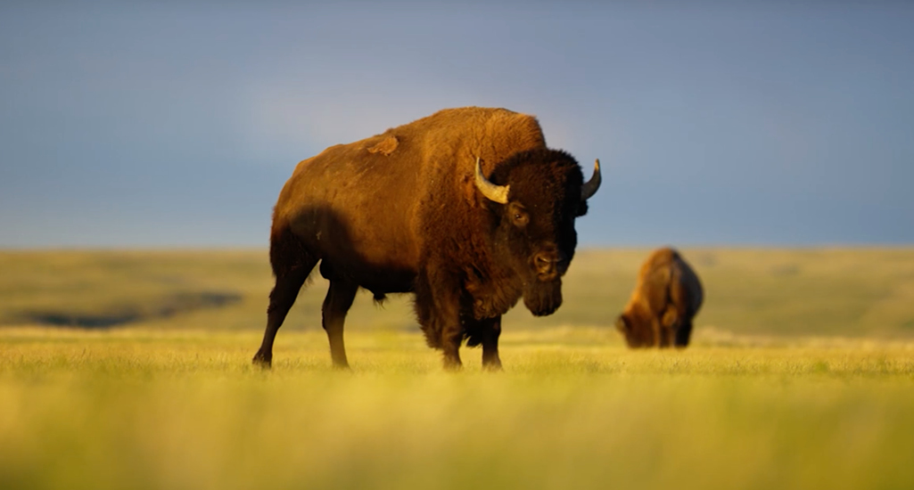 Guided Tours in Saskatchewan