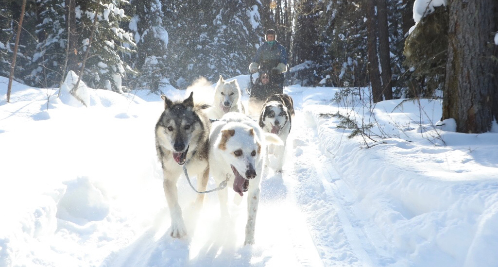 Guided Tours in Saskatchewan