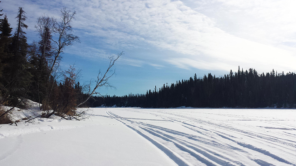 Snowmobile tracks along the shore of a lake near La Ronge, Saskatchewan. 