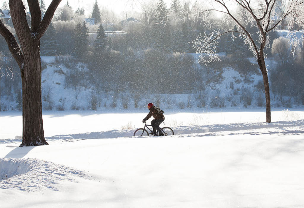 person biking along Meewasin path during winter in Saskatoon