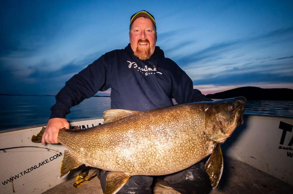 A man holds a giant 60 pound lake trout he caught on Tazin Lake as a guest of Tazin Lake Lodge Saskatchewan