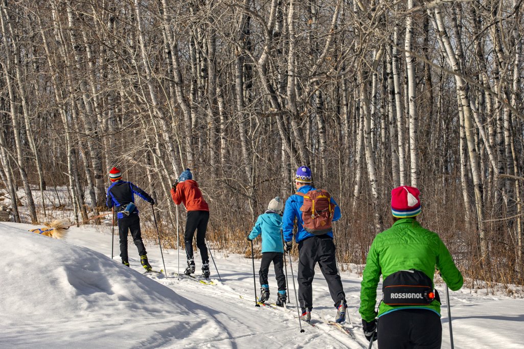 group of five people in a line cross-country skiing with trees lining the trail