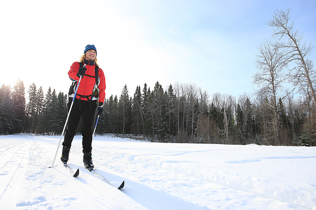 picture of a person cross country skiing with a forest in the background and clear blue skies