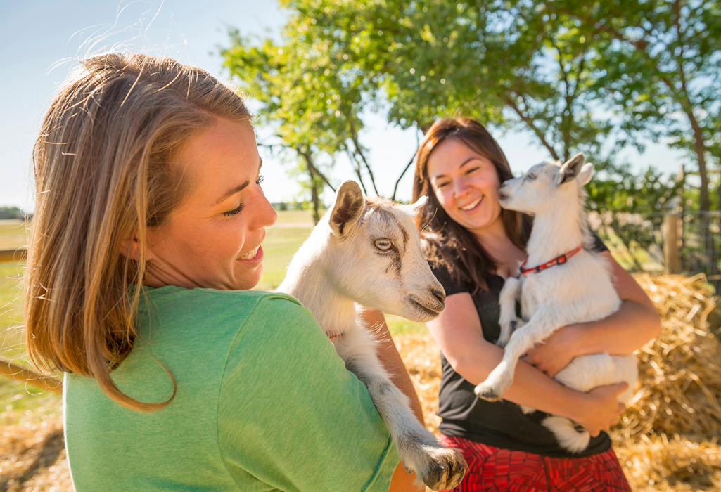 two people holding goats