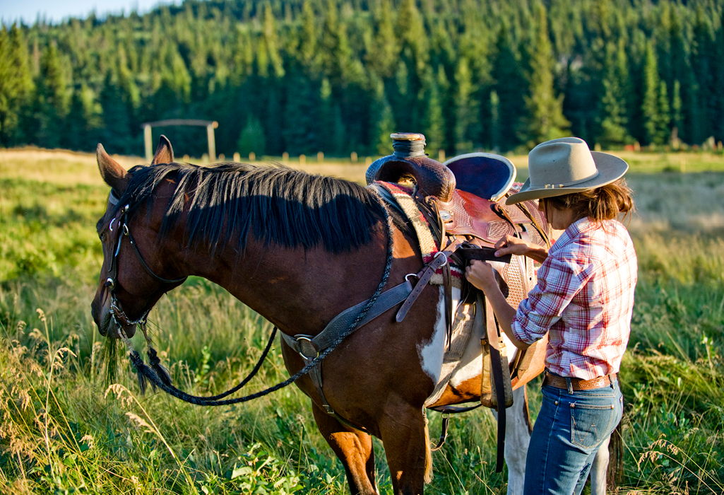 a person getting a saddle ready on a horse in cypress hills