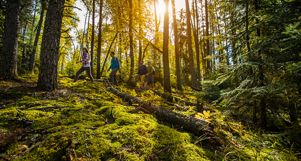 Family Fun at Prince Albert National Park