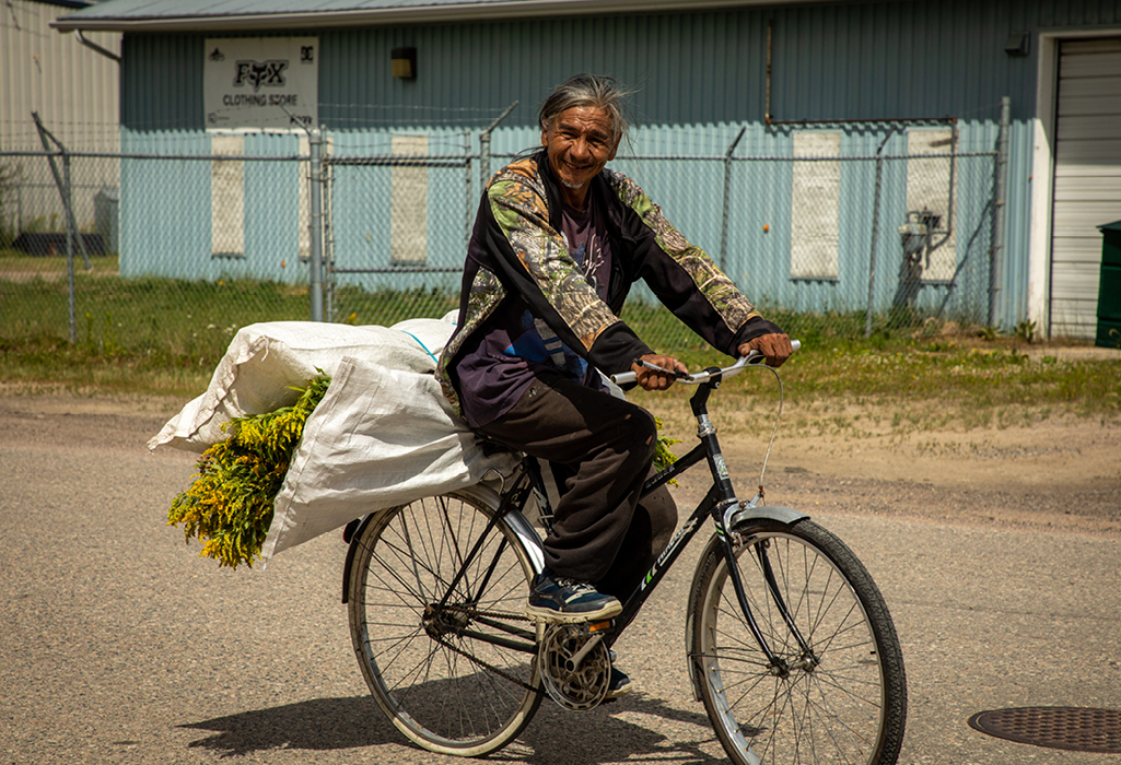 person riding a bicycle with foraged plants in a bag strapped to the back of the bicycle