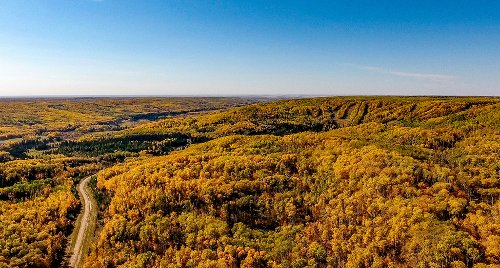 Aerial photo of the landscape at Duck Mountain Provincial Park in autumn