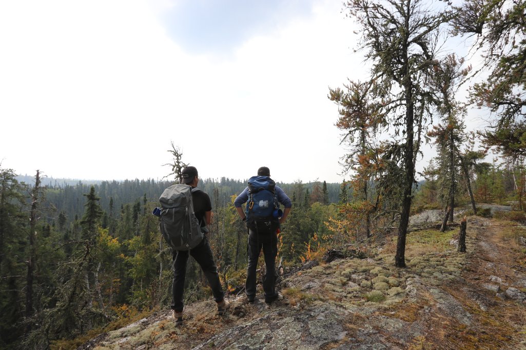 two people looking out at the boreal forest from a lookout point on nut point trail