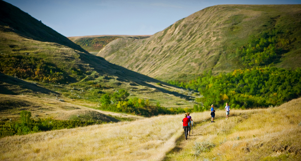 four people hiking along a trail with large hills ahead of them and tall grasses around