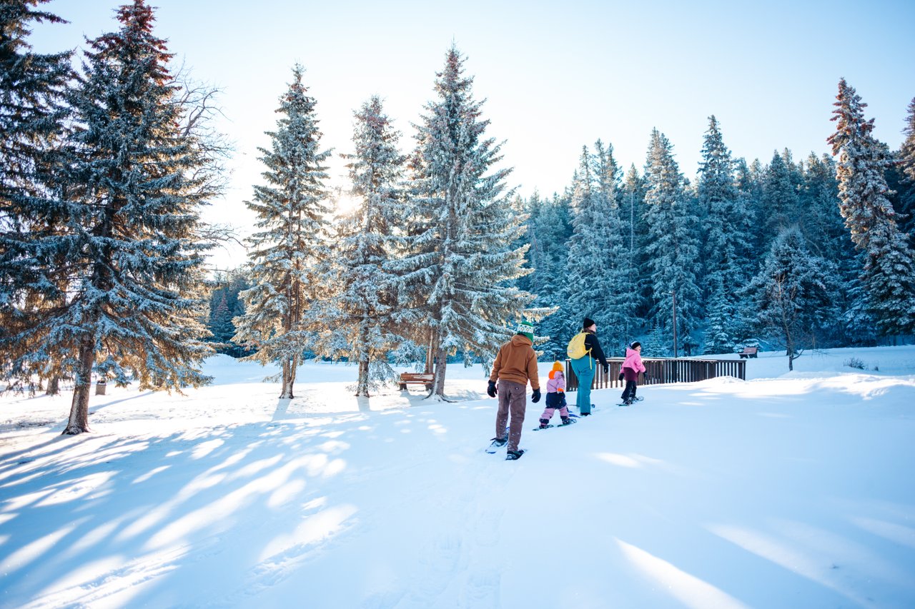 Two adults and two children snowshoeing through snowy pine trees.