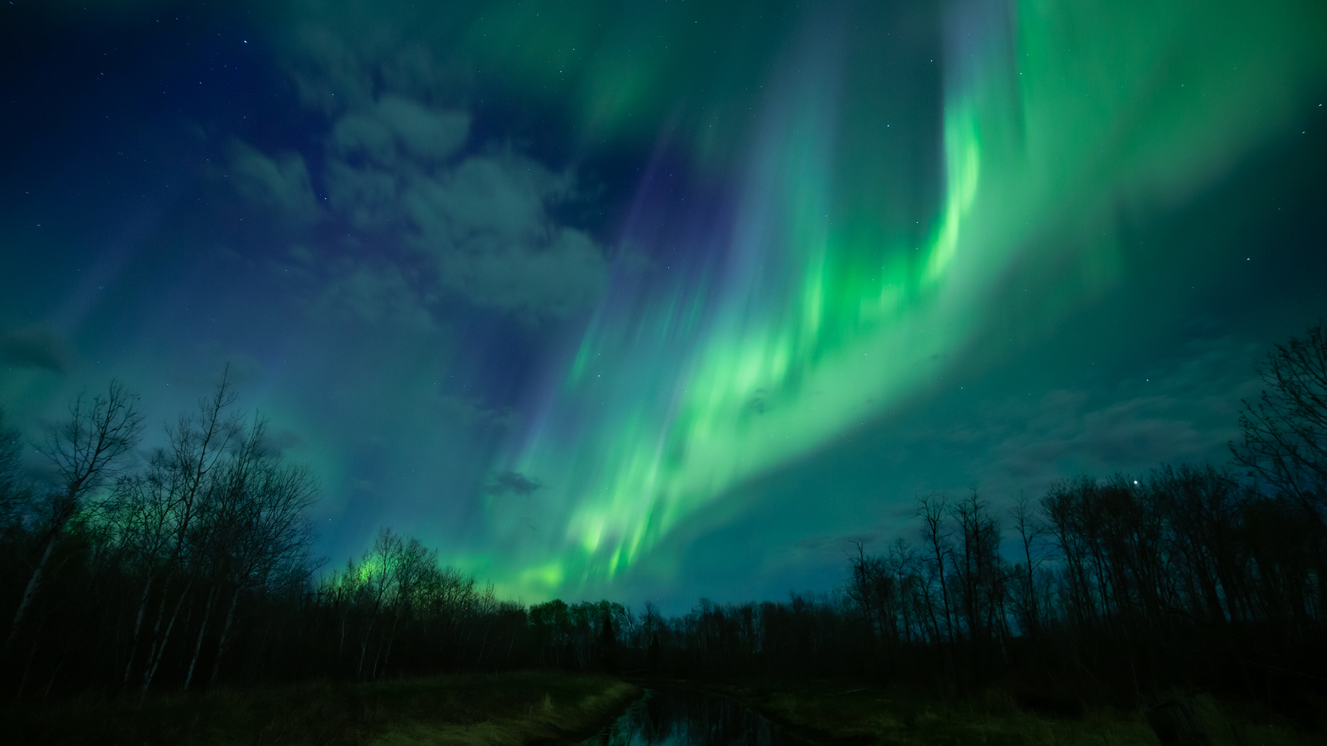 How to See the Northern Lights in Saskatchewan Tourism Saskatchewan