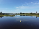 kayaking great blue heron provincial park