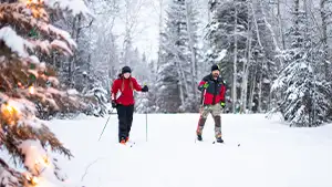 Meadow Lake Provincial Park | Sask Parks