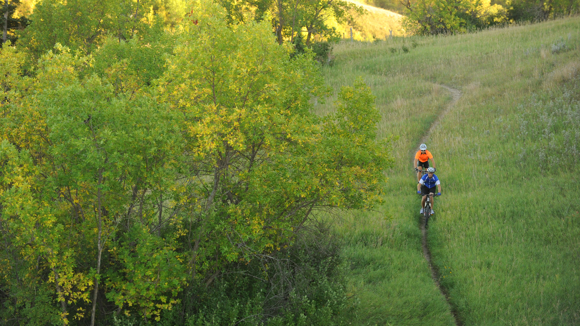 The Best Mountain Bike Trails By Sacramento, California | atelier-yuwa ...