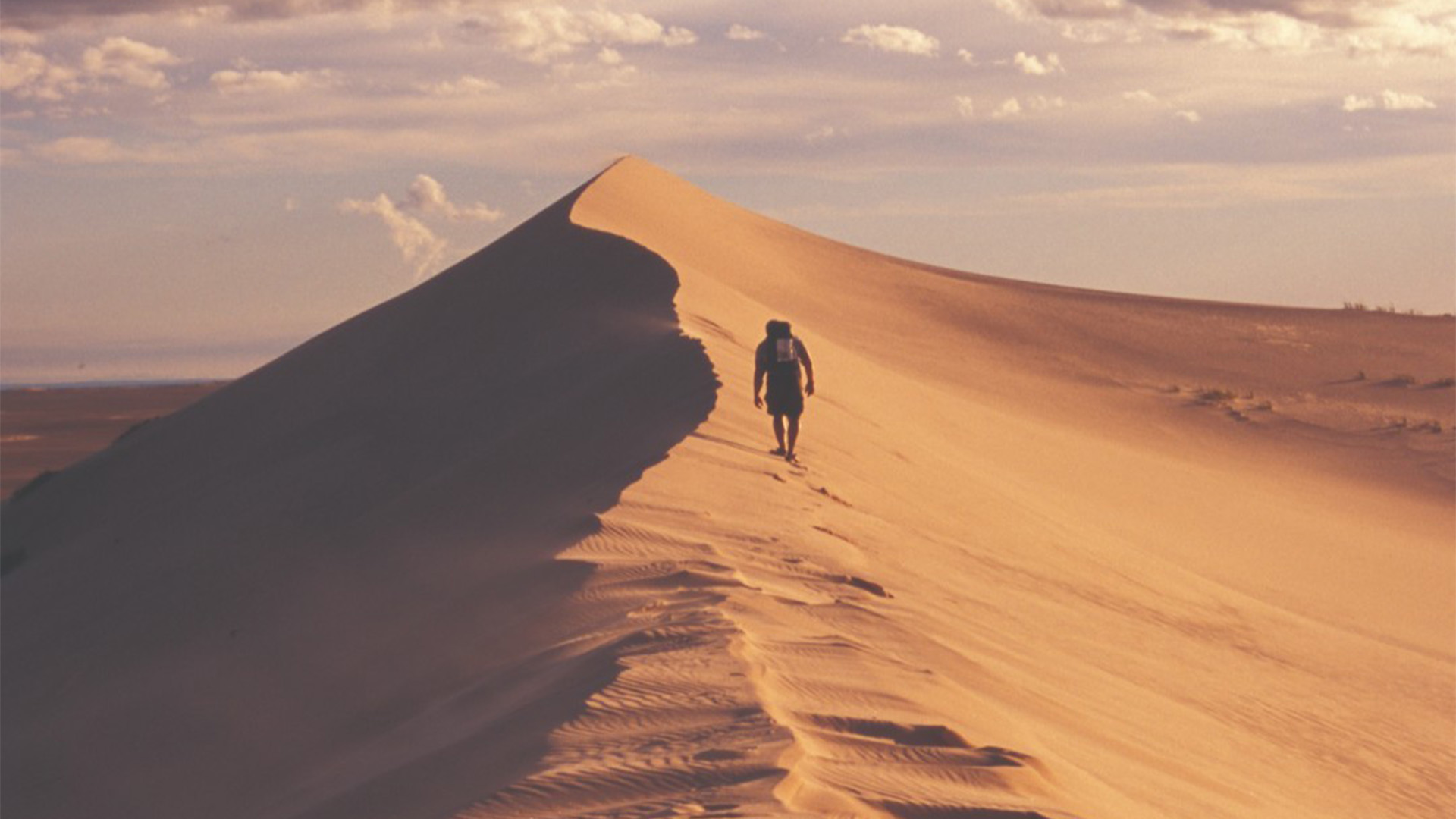 Athabasca Sand Dunes Provincial Park | #SaskParks