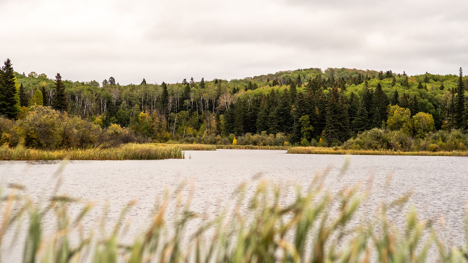 Duck Mountain Provincial Park | #SaskParks