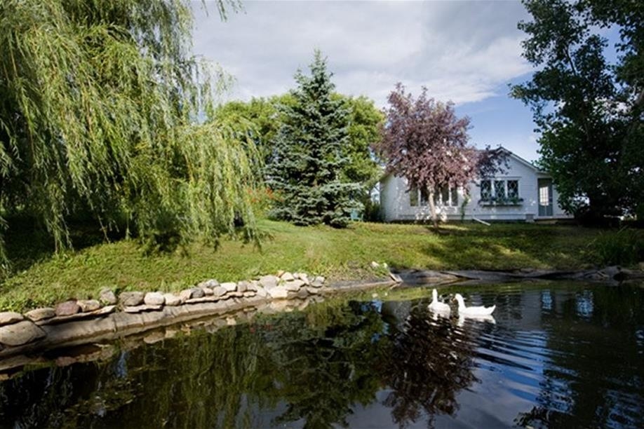 A peaceful duck pond nestled in perennial flower gardens, Rabbit Hill Bed and Breakfast.
