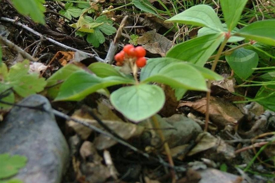 Experience a true unspoiled wilderness where around every bend, a new natural delight awaits you.
Bring your camera, lots of film and your sense of adventure.