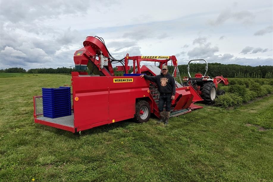 Bee and Thistle Winery