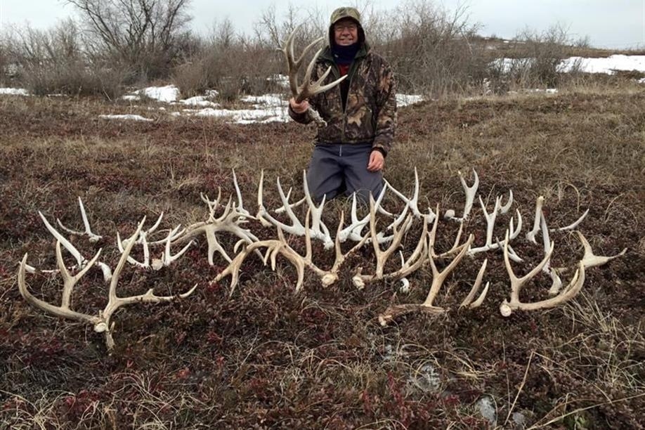 Bentley Coben Wildlife Productions Inc - shed antler hunt