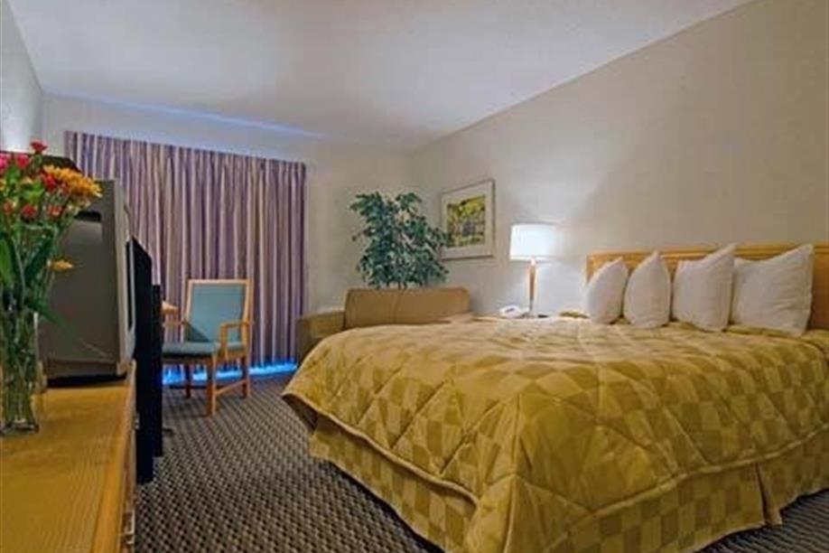 Comfort Inn - Regina - King Guest Room