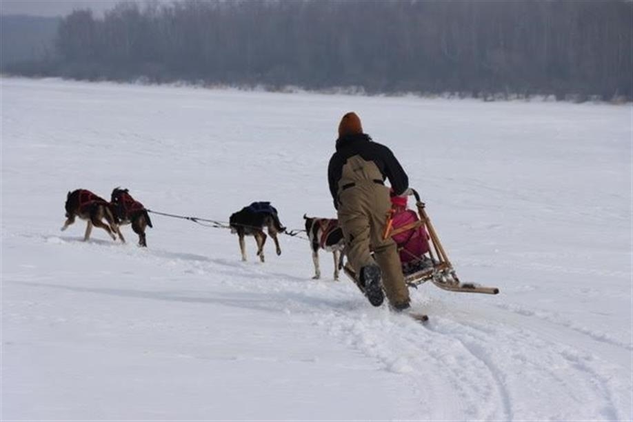 Eagle Ridge Dog Sled Tours