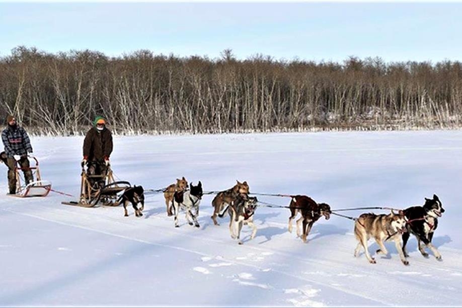Eagle Ridge Dog Sled Tours