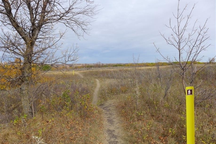 Fairy Hill Trail; Photo: Nick Fiorante