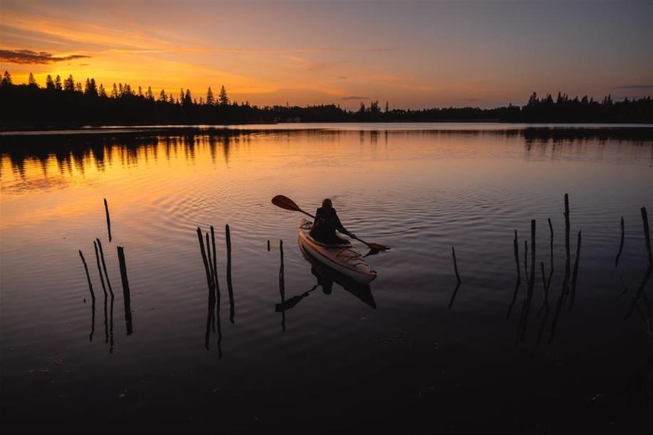 Flora Bora Forest Lodging; Photo: Herry Himanshu.