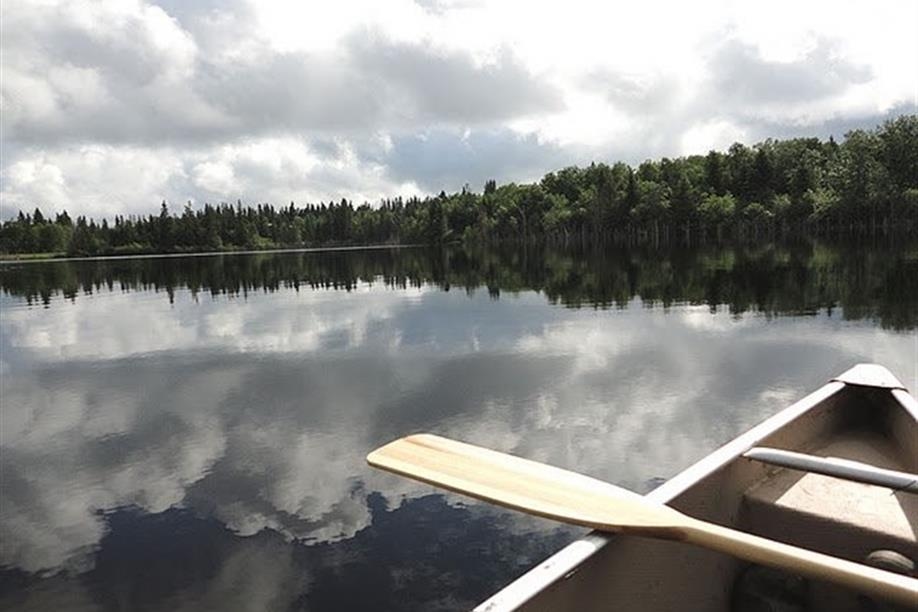 Flora Bora Forest Lodging - One of the many activities to do while staying at Flora Bora.