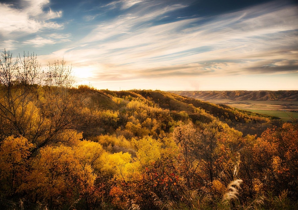 Grenfell - Autumn in the Valley