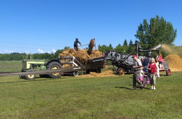 Hepburn - Old fashioned threshing demonstration
