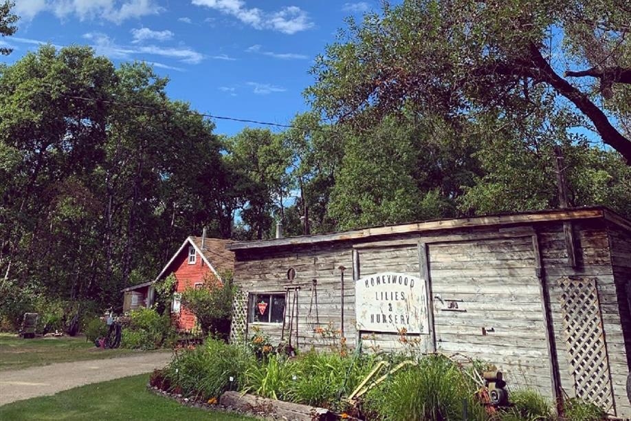 Honeywood (Dr A. J. Porter) Heritage Nursery Inc