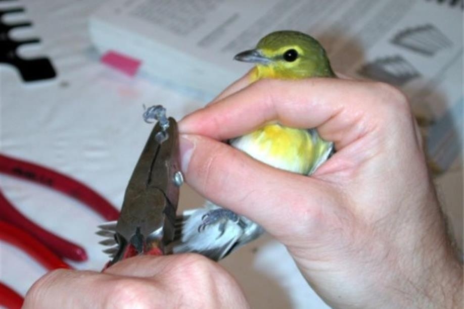 Last Mountain Lake National Wildlife Area