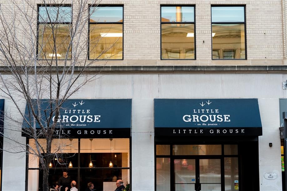 Little Grouse on the Prairie