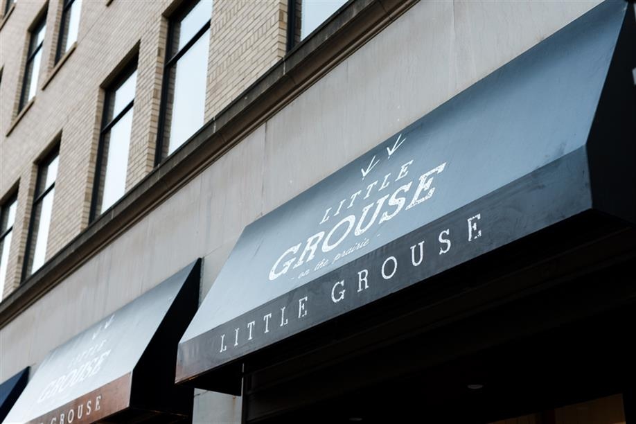 Little Grouse on the Prairie