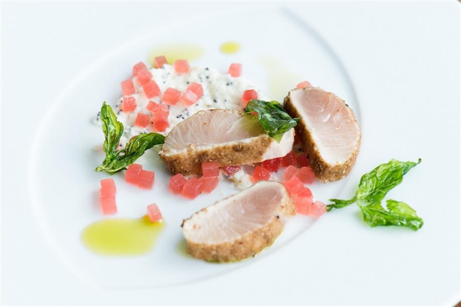 Little Grouse on the Prairie